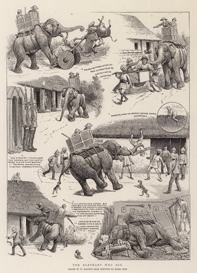 El elefante que lo hizo de William Ralston